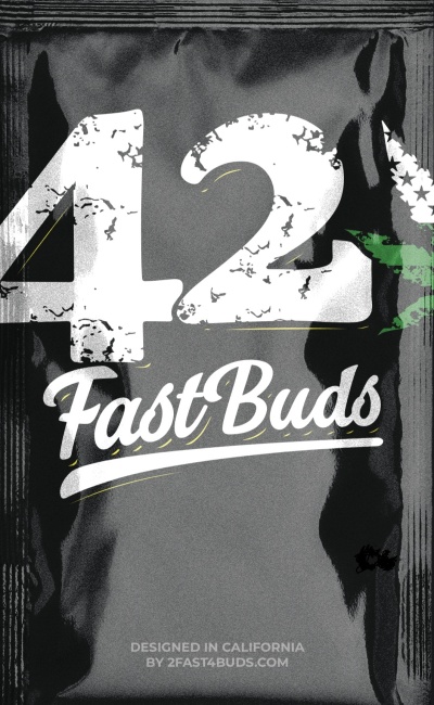 картинка Mimosa Cake Auto от магазина Semki